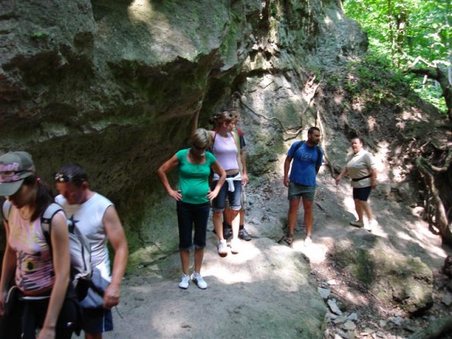 DSC05844 (Medium)